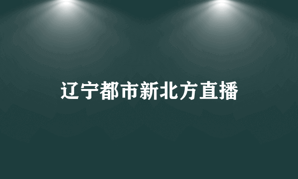 辽宁都市新北方直播