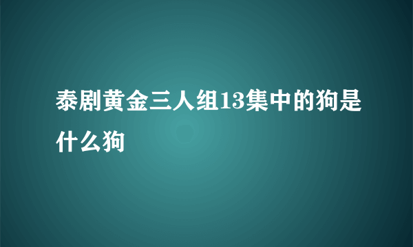 泰剧黄金三人组13集中的狗是什么狗