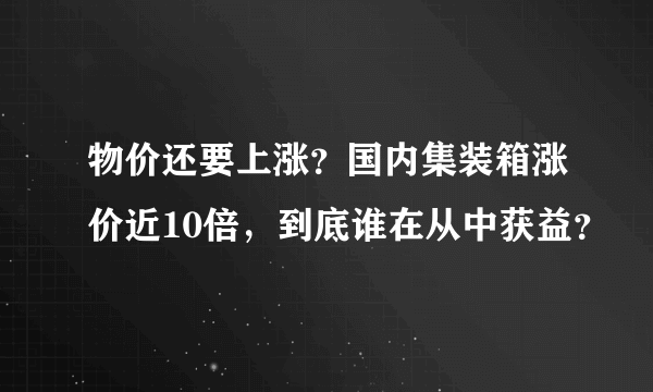 物价还要上涨？国内集装箱涨价近10倍，到底谁在从中获益？