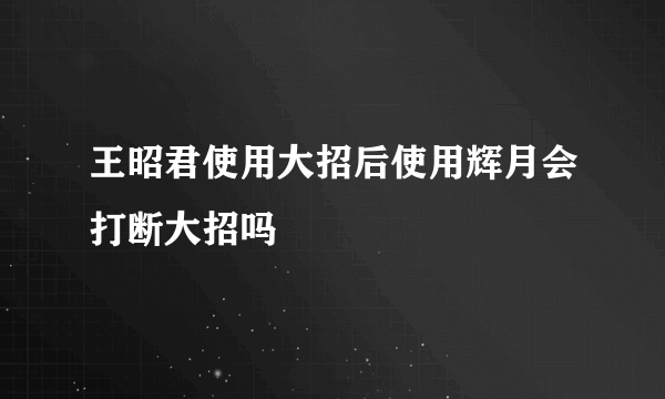 王昭君使用大招后使用辉月会打断大招吗