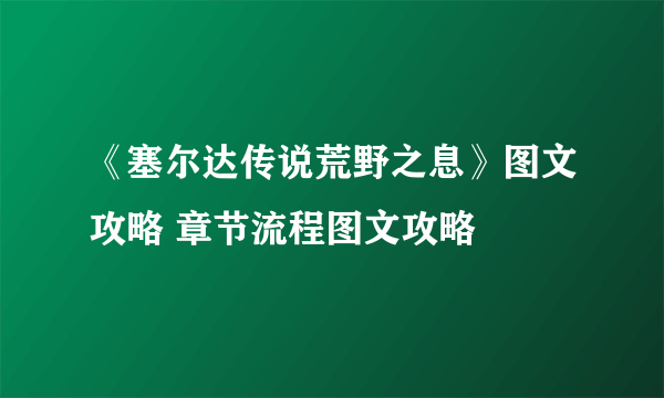 《塞尔达传说荒野之息》图文攻略 章节流程图文攻略