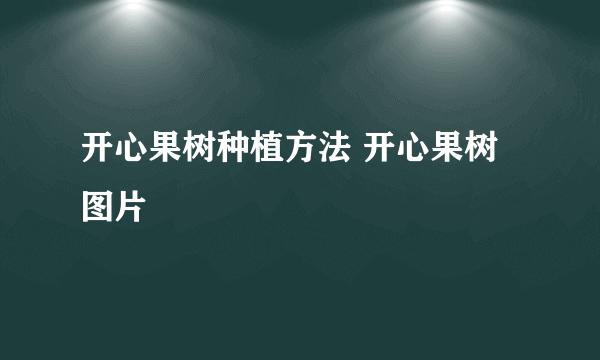 开心果树种植方法 开心果树图片