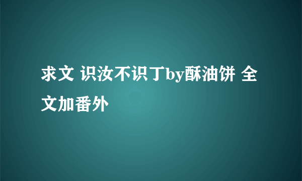 求文 识汝不识丁by酥油饼 全文加番外