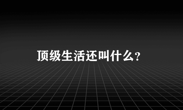 顶级生活还叫什么？