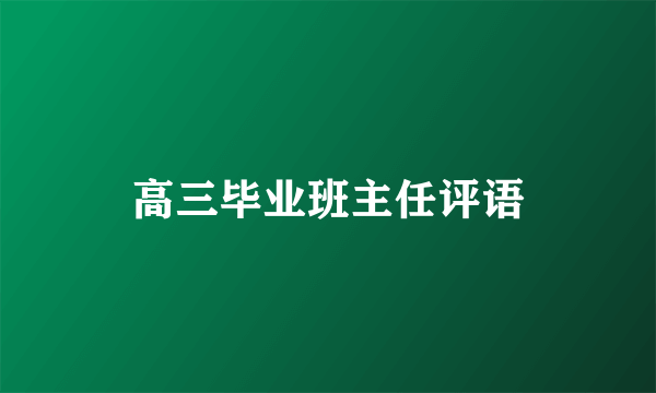 高三毕业班主任评语