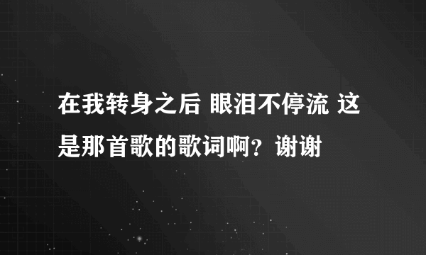 在我转身之后 眼泪不停流 这是那首歌的歌词啊？谢谢