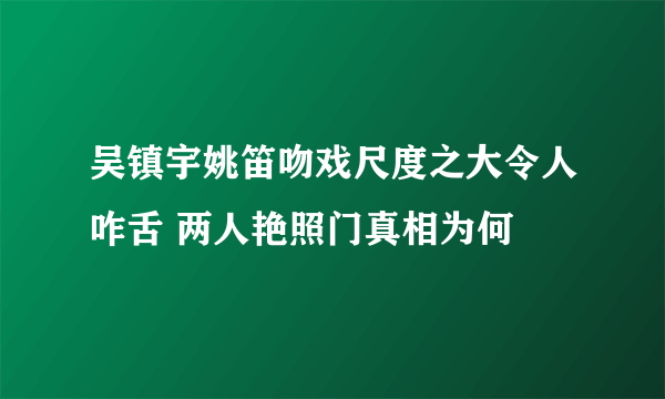 吴镇宇姚笛吻戏尺度之大令人咋舌 两人艳照门真相为何