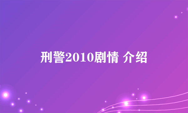 刑警2010剧情 介绍