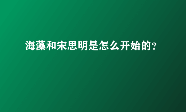 海藻和宋思明是怎么开始的？