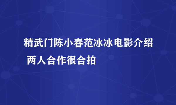 精武门陈小春范冰冰电影介绍 两人合作很合拍