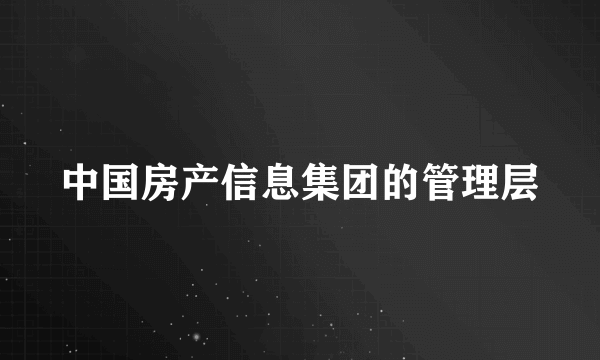 中国房产信息集团的管理层