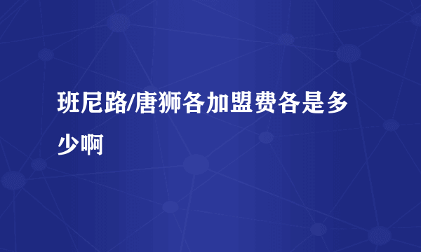 班尼路/唐狮各加盟费各是多少啊