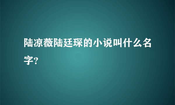 陆凉薇陆廷琛的小说叫什么名字？