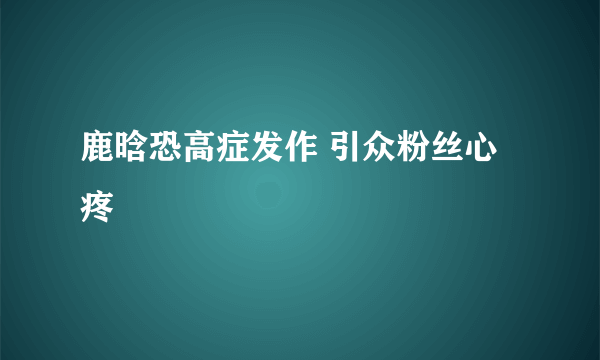 鹿晗恐高症发作 引众粉丝心疼