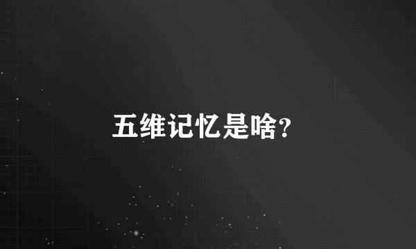 五维记忆是啥？