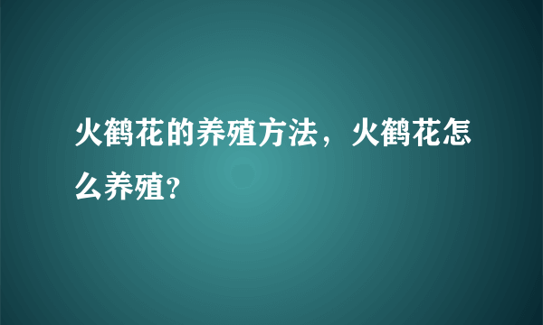 火鹤花的养殖方法，火鹤花怎么养殖？