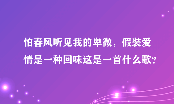 怕春风听见我的卑微，假装爱情是一种回味这是一首什么歌？