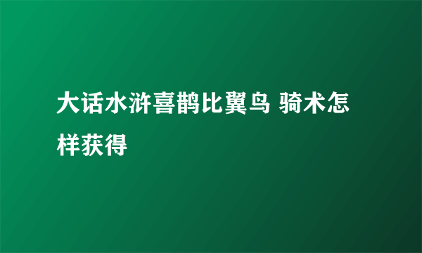 大话水浒喜鹊比翼鸟 骑术怎样获得