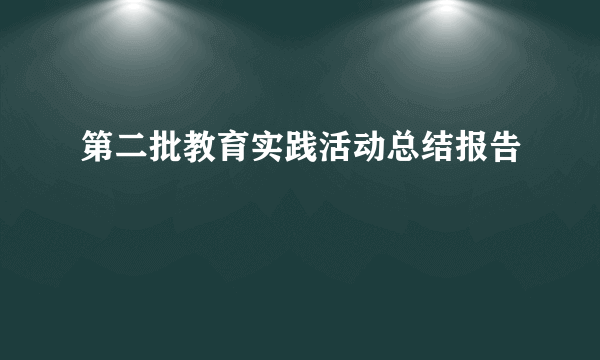 第二批教育实践活动总结报告