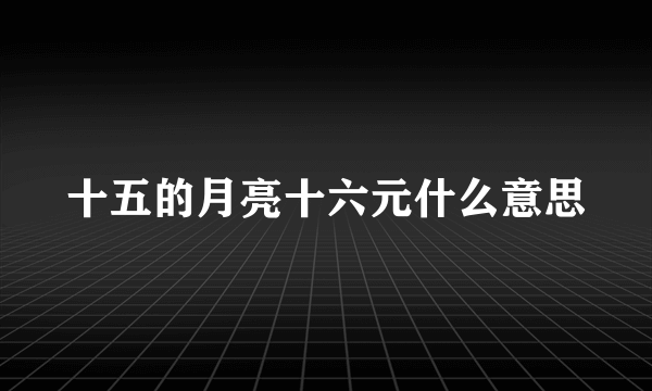 十五的月亮十六元什么意思