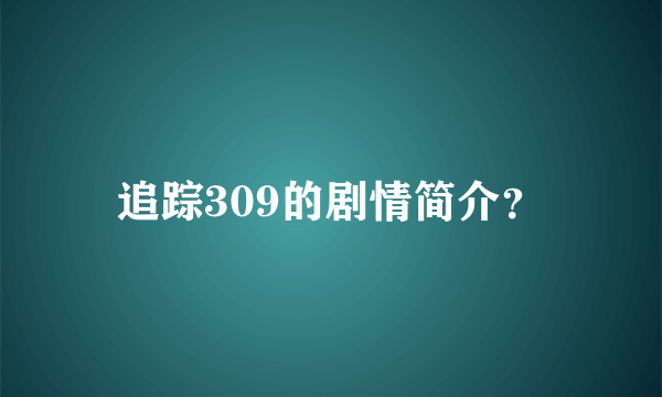 追踪309的剧情简介？