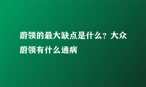 蔚领的最大缺点是什么？大众蔚领有什么通病