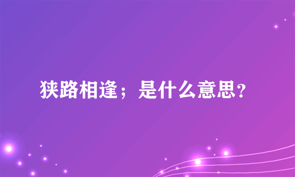 狭路相逢；是什么意思？