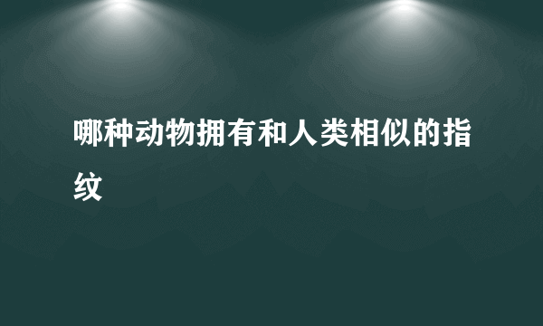 哪种动物拥有和人类相似的指纹