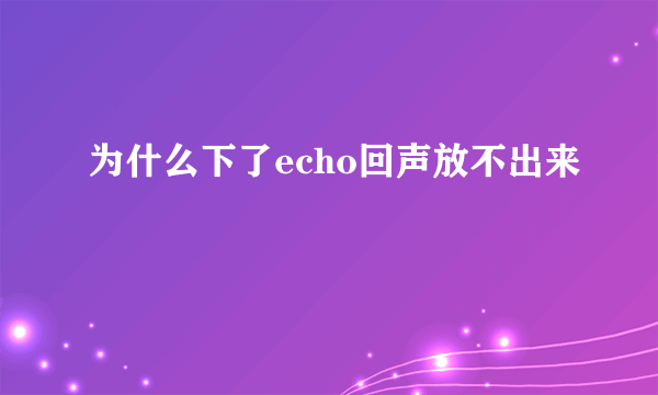 为什么下了echo回声放不出来