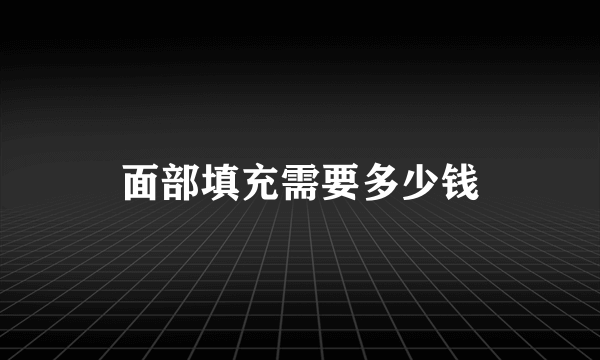 面部填充需要多少钱