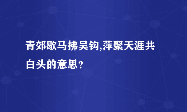 青郊歇马拂吴钩,萍聚天涯共白头的意思？