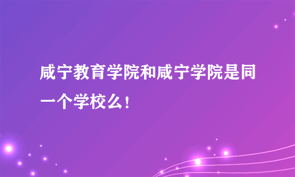 咸宁教育学院和咸宁学院是同一个学校么！