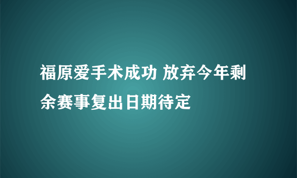 福原爱手术成功 放弃今年剩余赛事复出日期待定