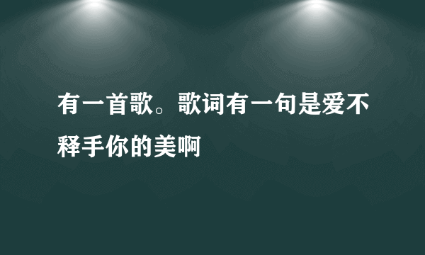 有一首歌。歌词有一句是爱不释手你的美啊