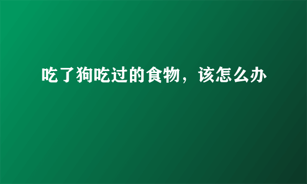 吃了狗吃过的食物，该怎么办