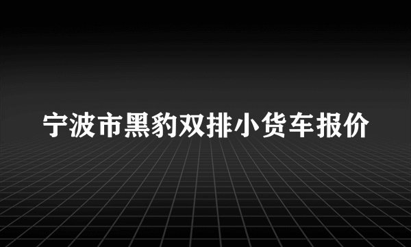 宁波市黑豹双排小货车报价