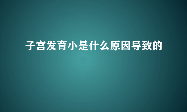 子宫发育小是什么原因导致的