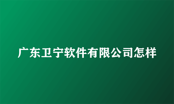 广东卫宁软件有限公司怎样