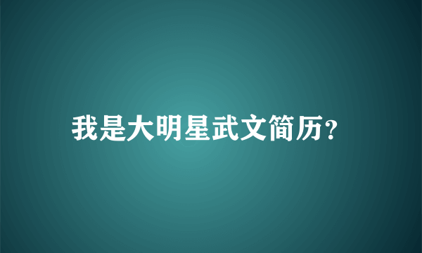 我是大明星武文简历？