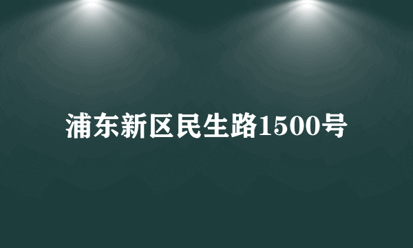 浦东新区民生路1500号