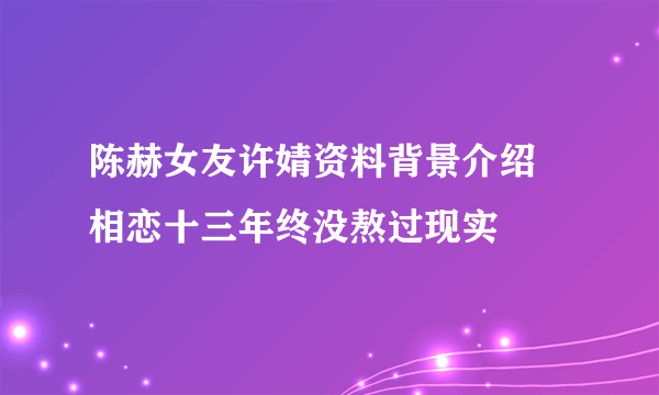 陈赫女友许婧资料背景介绍  相恋十三年终没熬过现实