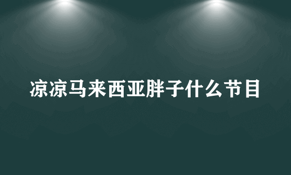 凉凉马来西亚胖子什么节目