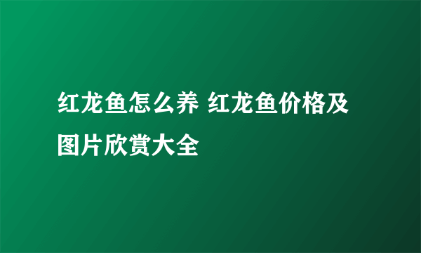 红龙鱼怎么养 红龙鱼价格及图片欣赏大全