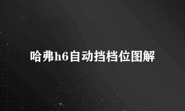 哈弗h6自动挡档位图解