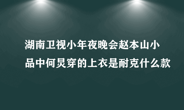 湖南卫视小年夜晚会赵本山小品中何炅穿的上衣是耐克什么款