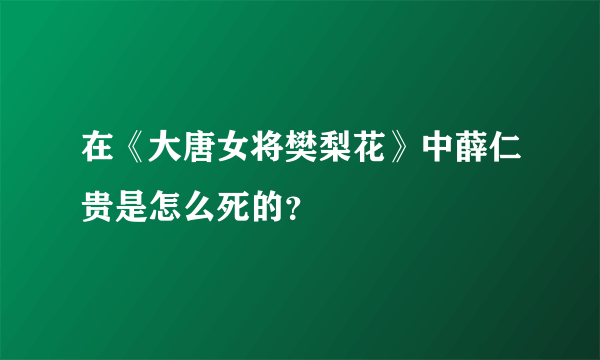 在《大唐女将樊梨花》中薛仁贵是怎么死的？