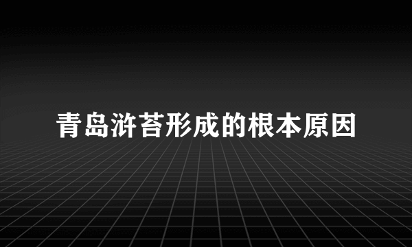 青岛浒苔形成的根本原因