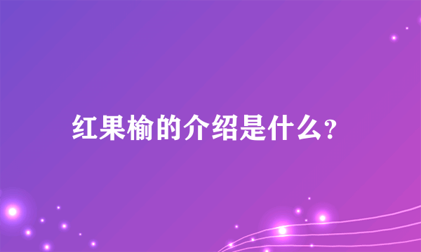 红果榆的介绍是什么？