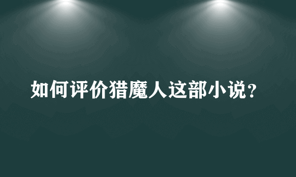 如何评价猎魔人这部小说？