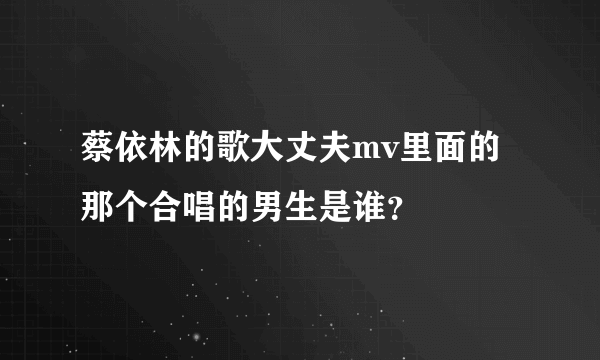 蔡依林的歌大丈夫mv里面的那个合唱的男生是谁？